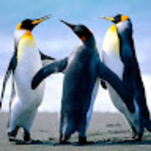 Meet your Posher, Ethan